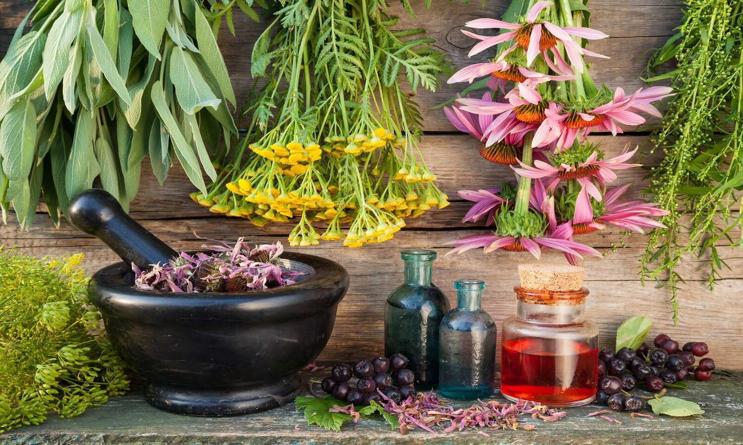 Phytopharmos_con_fitoterapia_1500x900